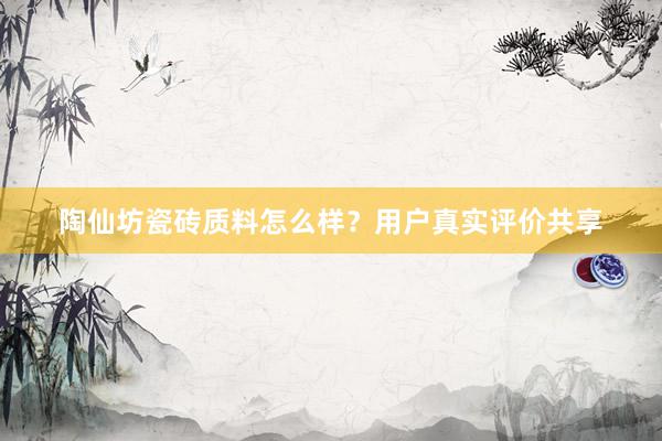 陶仙坊瓷砖质料怎么样？用户真实评价共享