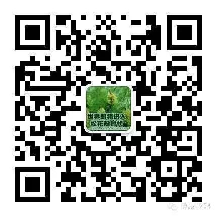 家居清洁用品电商_竹珍果蔬净洗剂有机磷降解酶_竹珍浓缩洗洁精竹提取物