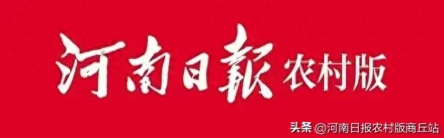 食品工厂清洁工具_食品安全智能化管理_河南卢师傅食品消毒设备